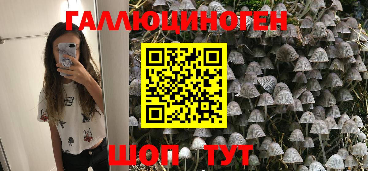 Псилоцибиновые грибы Psilocybe Сызрань